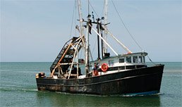Commercial Fishing (Available Soon)