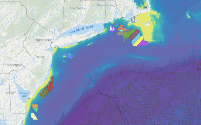 Offshore Wind Lease Areas, Operational Installations & Abundance of Birds with Higher Sensitivity to Displacement by Offshore Wind Farms