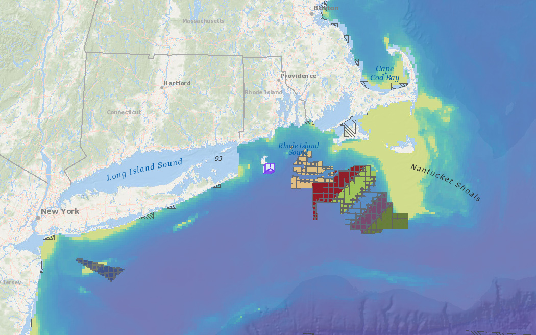 Offshore Wind Lease Areas, Operational Installations & Abundance of Birds with Higher Sensitivity to Displacement by Offshore Wind Farms