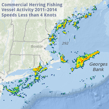 Herring Vessel Activity Less than 4 Knots