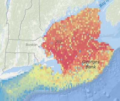 Demersal Fish: Species Richness