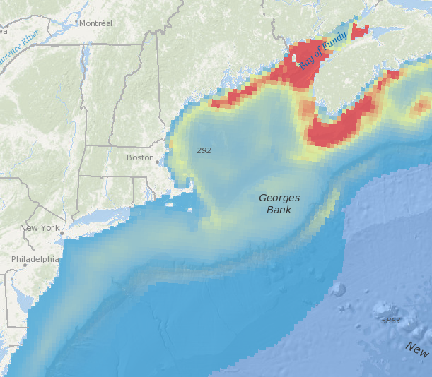 Cetaceans Sensitive to High-Frequency Sounds: Total Abundance