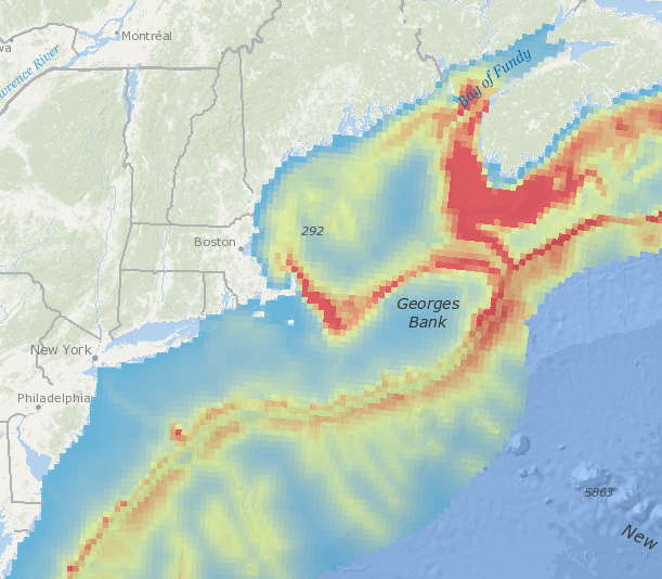 Cetacean Species of Concern (ESA-listed): Total Abundance