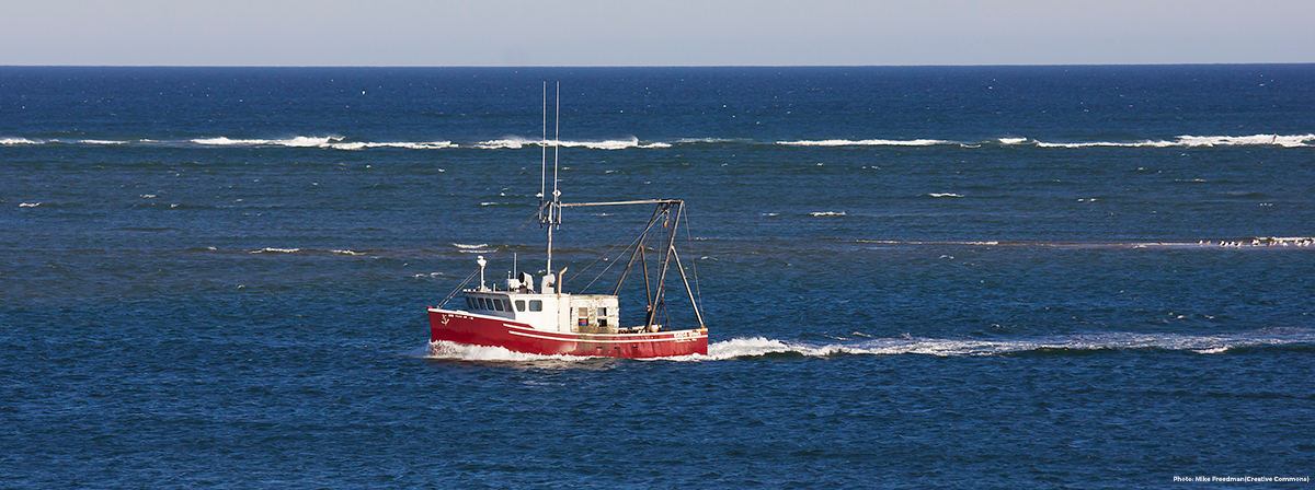 Fishing vessel returning to Chatham, Massachusetts. Credit: Mike Freedman (Creative Commons)