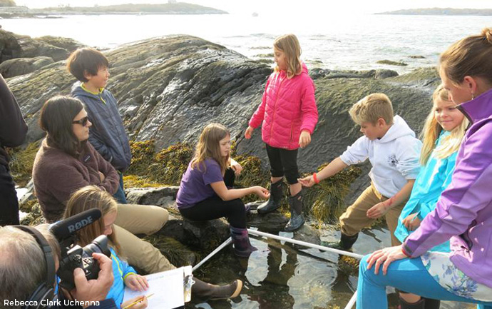 Long Island students studying biodiversity in a tide pool