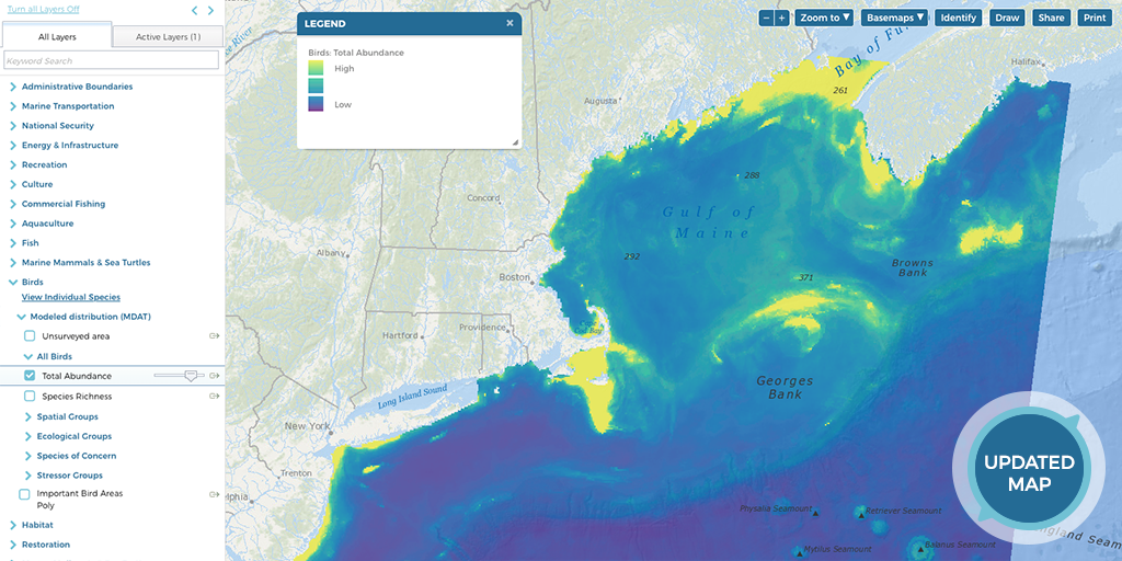 Screenshot of All Birds Total Abundance Map