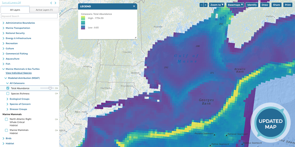 Screenshot of All Cetaceans Total Abundance Map