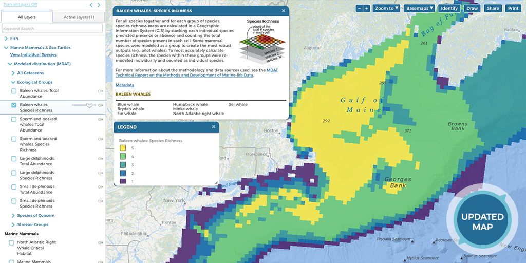 Screenshot of Baleen Whale Map