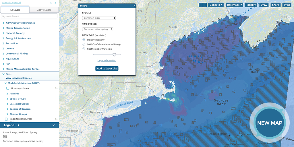 Screenshot of Eider Map