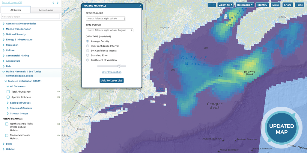 Screenshot of Right Whale Map