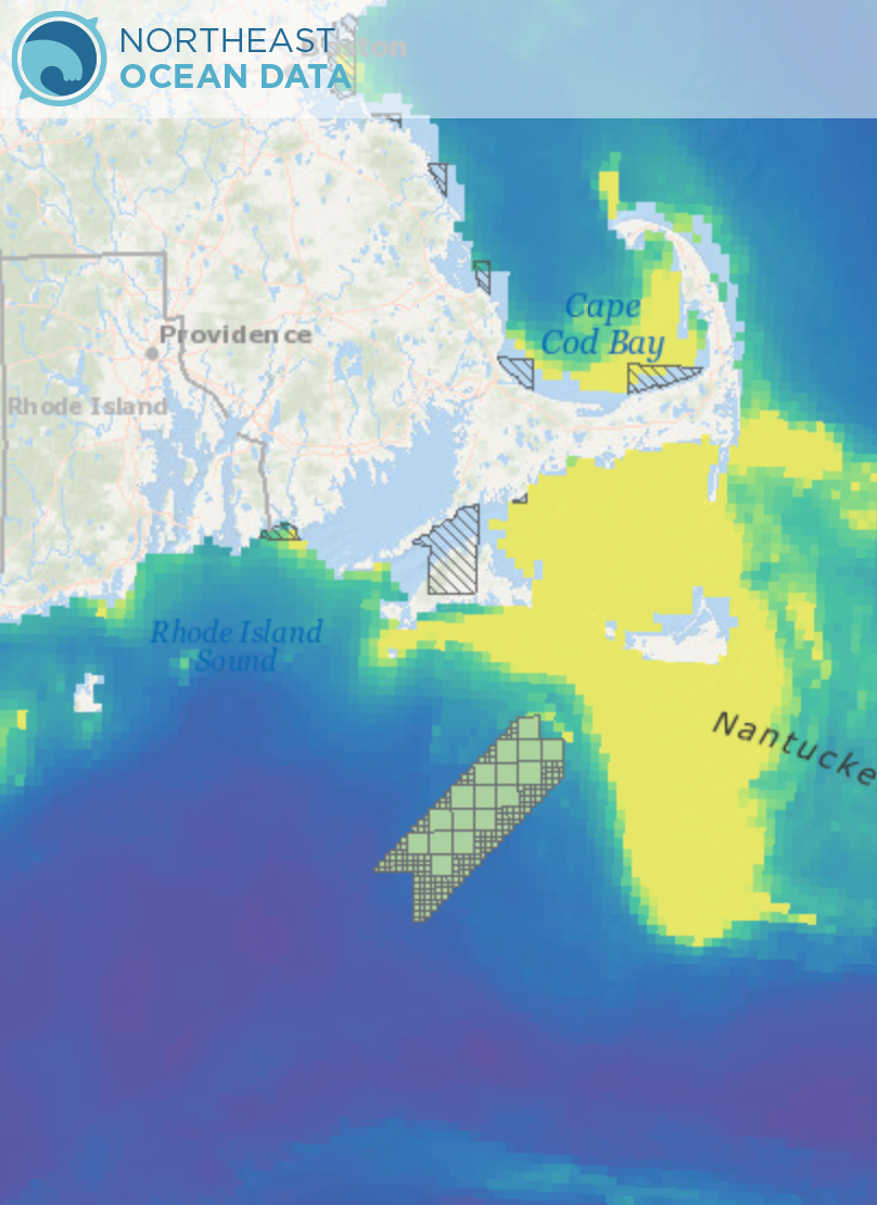 Abundance of birds with higher sensitivity to displacement by offshore wind energy facilities