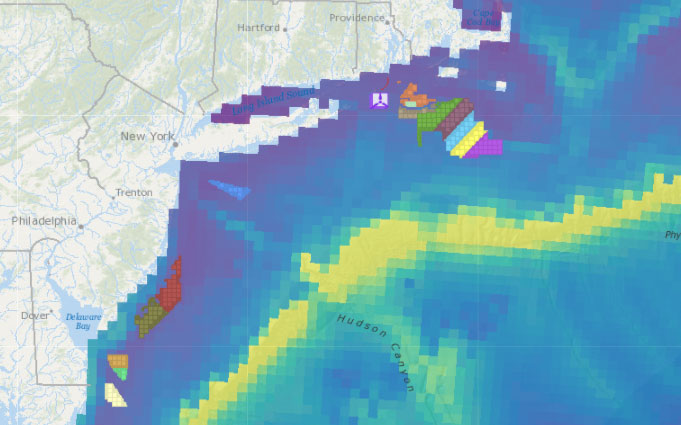 Offshore Wind Lease Areas, Operational Installations & Abundance of ESA-listed Whales