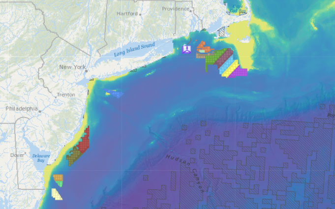 Offshore Wind Lease Areas, Operational Installations & Abundance of Birds with Higher Sensitivity to Collision with Offshore Wind Farms