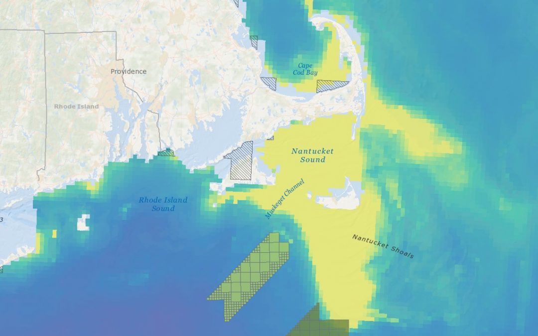 Vineyard Wind 1 Draft Environmental Impact Statement (DEIS) – Abundance of Birds with Higher Sensitivity to Collision with Offshore Wind Farms