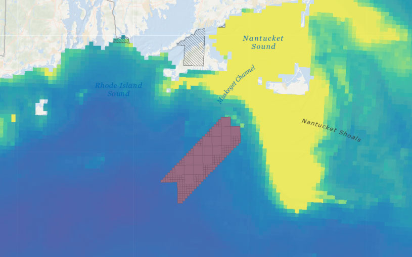 Vineyard Wind 1 Draft Environmental Impact Statement (DEIS) – Abundance of Birds with Higher Sensitivity to Collision with Offshore Wind Farms