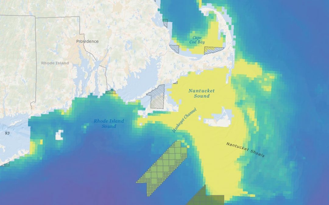 Vineyard Wind 1 Draft Environmental Impact Statement (DEIS) – Abundance of Birds with Higher Sensitivity to Displacement by Offshore Wind Farms