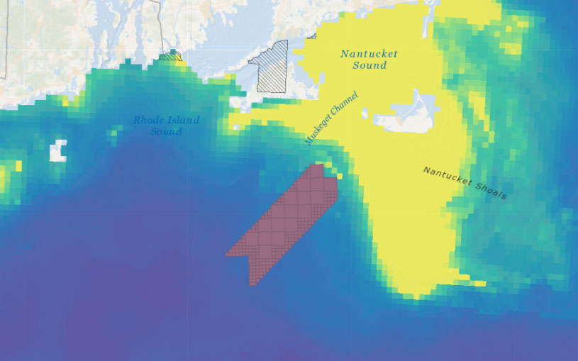 Vineyard Wind 1 Draft Environmental Impact Statement (DEIS) – Abundance of Birds with Higher Sensitivity to Displacement by Offshore Wind Farms