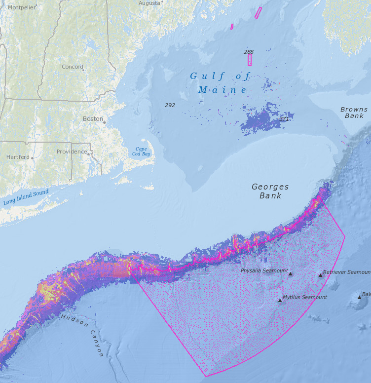NEFMC Omnibus Deep-Sea Coral Amendment areas with recently refined deep sea coral habitat suitability model visualizations