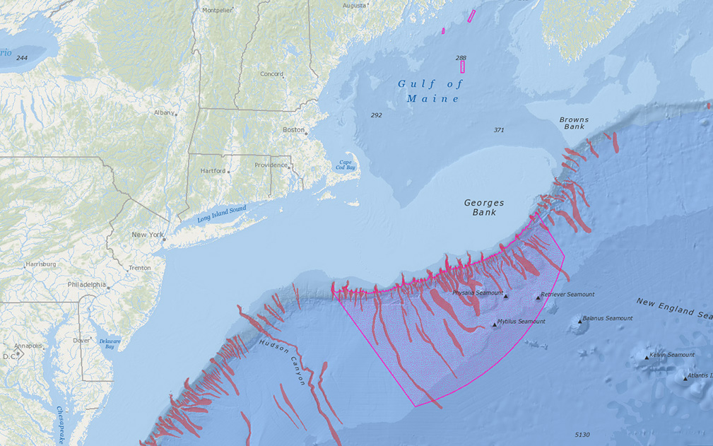 NEFMC Omnibus Deep-Sea Coral Amendment Areas with Deep-Sea Canyons