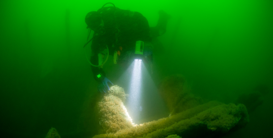 Recreational scuba diver at a wreck near Cape Cod. (Photo credit: Ethan Daniels/Shutterstock)