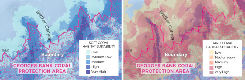 These maps show several of the initial draft alternative coral protection areas that were considered by the New England Fishery Management Council and could be viewed on the Northeast Ocean Data Portal's Data Explorer interactive map. 