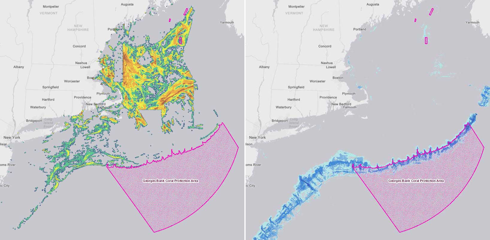 Pink areas represent the Coral Protection Zones and Dedicated Habitat Research Area that were selected by the New England Fishery Management Council and implemented by the Department of Commerce. Other colors indicate low (blue) to very high (red) groundfish vessel activity (at speeds less than 4 knots) in 2015-2016.