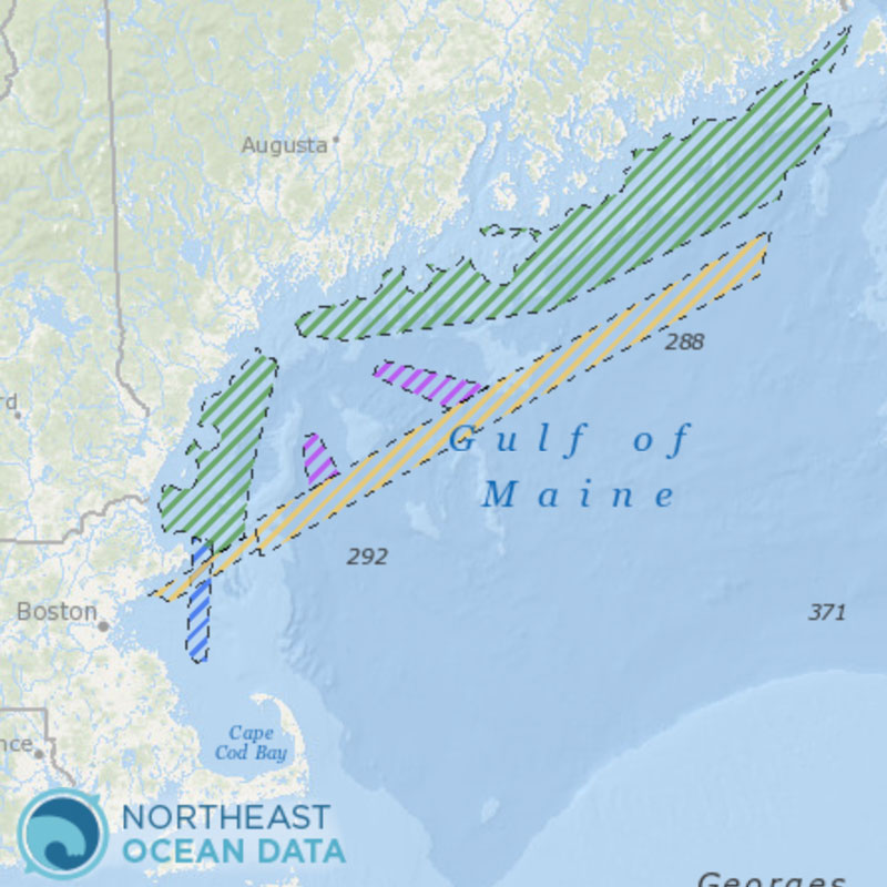 Screenshot of Northeast Ocean Data Portal map 