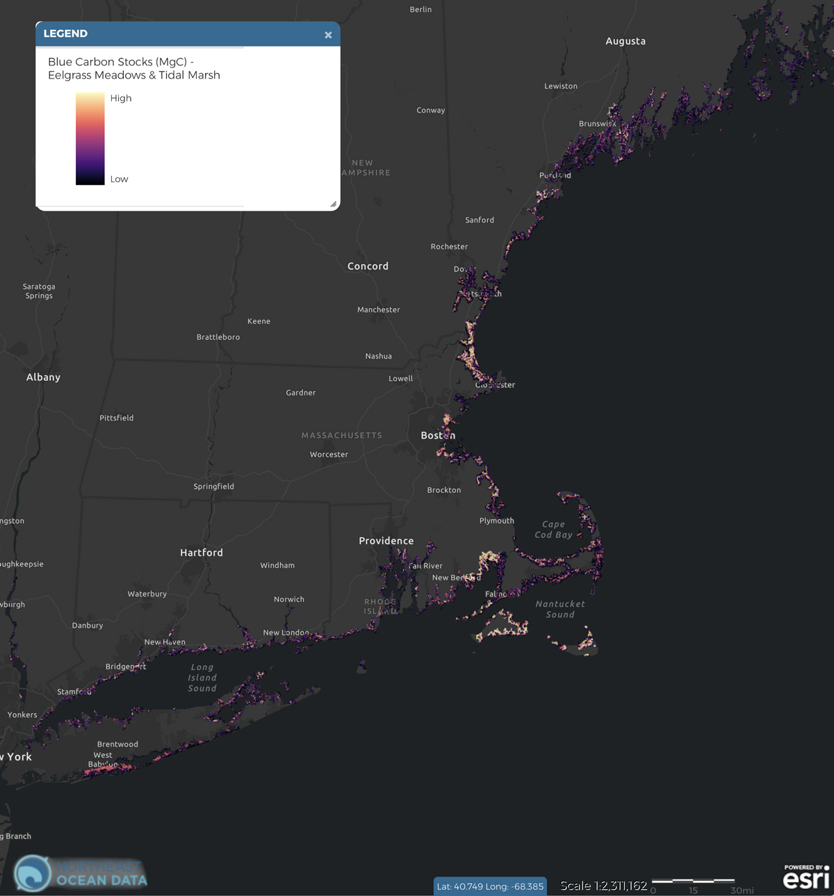 Screenshot of Blue Carbon Stocks (MgC) – Eelgrass meadows & Tidal marsh map layer