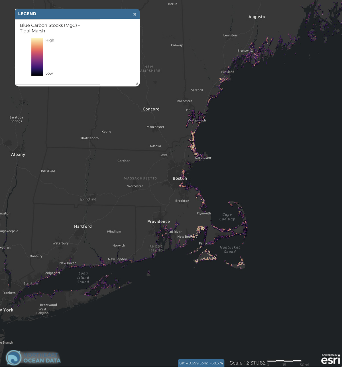 Screenshot of Blue Carbon Stocks (MgC) – Tidal marsh map layer