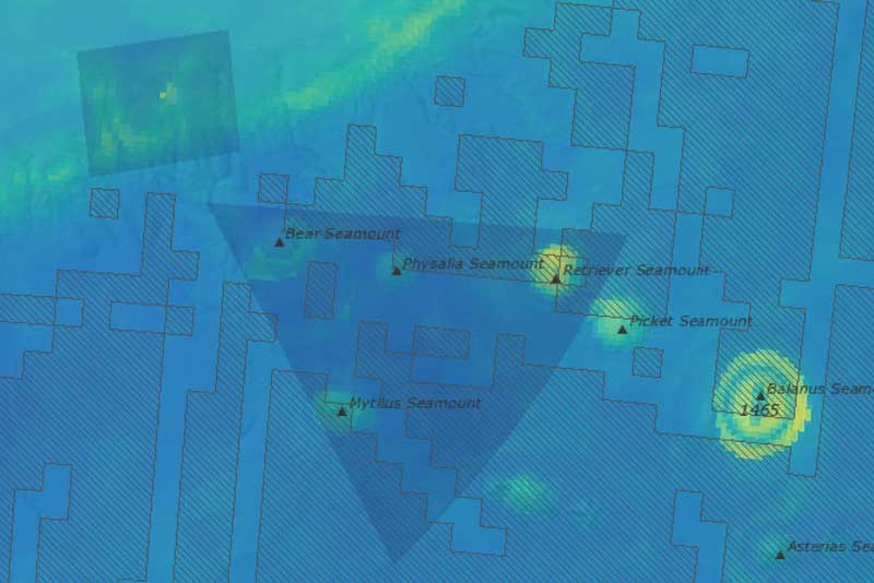 Fig. 12: Estimated offshore/pelagic seabird abundance