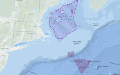 Fig. 15: Gulf of Maine offshore wind area