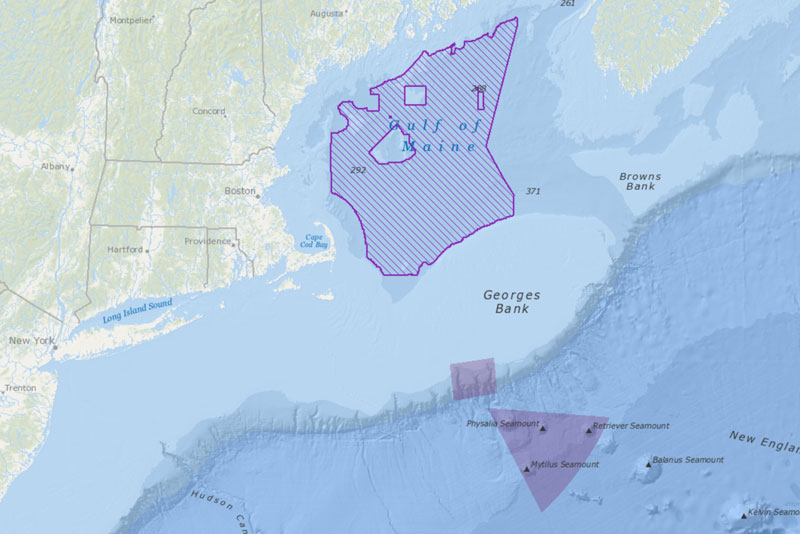 Fig. 15: Gulf of Maine offshore wind area