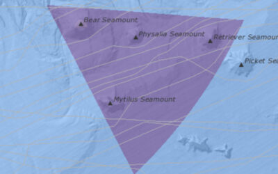 Fig. 18: Submarine cables crossing the Seamounts Unit