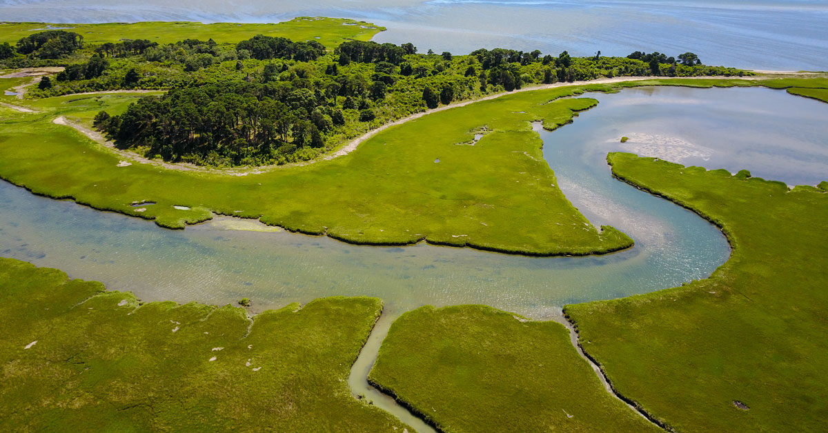 New High-Resolution Maps of Northeast U.S. Salt Marsh Carbon and Soil Properties