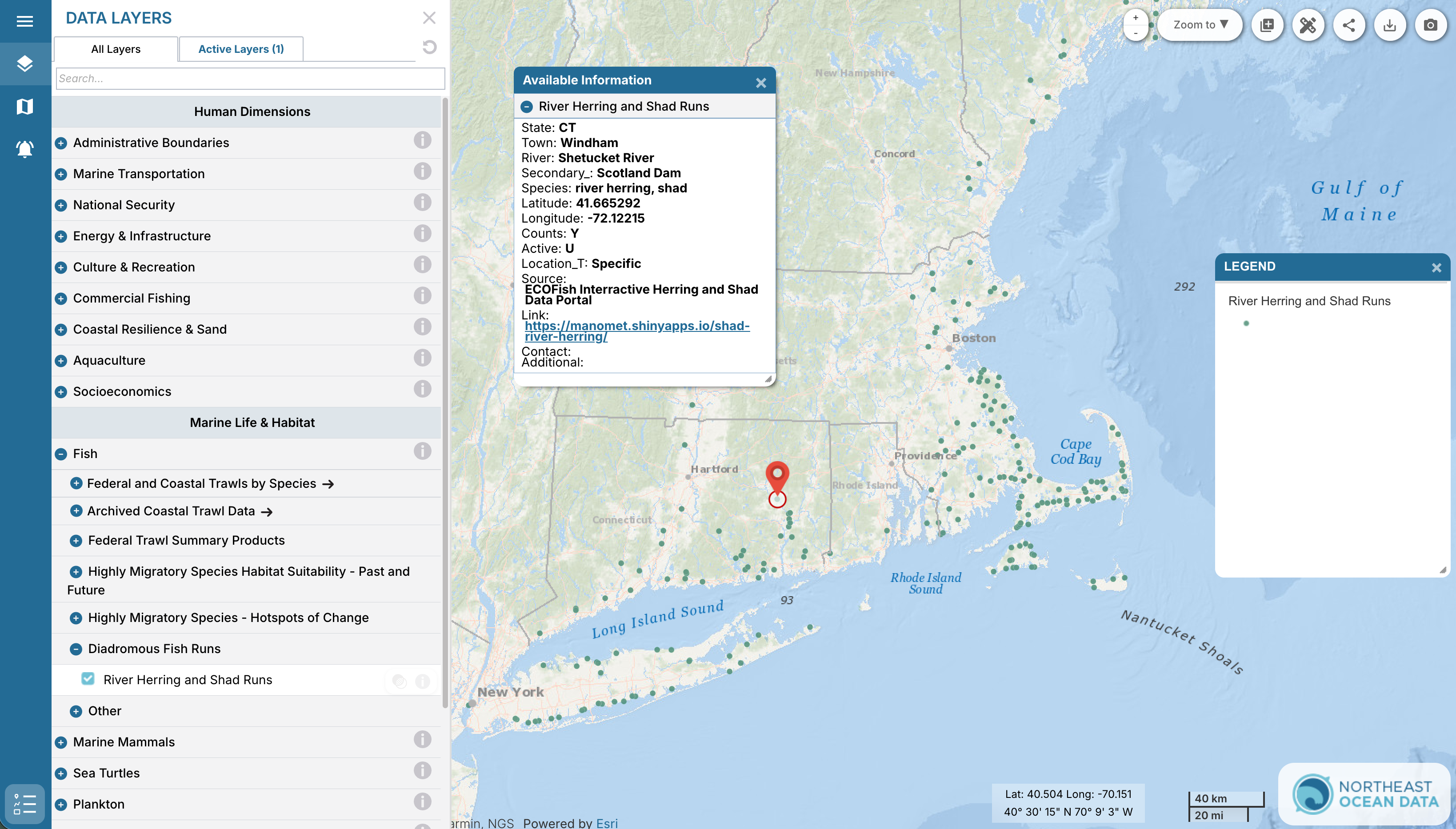 map of river herring and shad runs on the Northeast Ocean Data Explorer