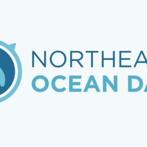 Portal Logo