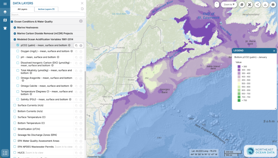 Modeled Ocean Acidification Variables