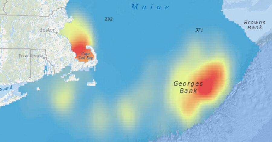 Hundreds of New and Updated Plankton Datasets