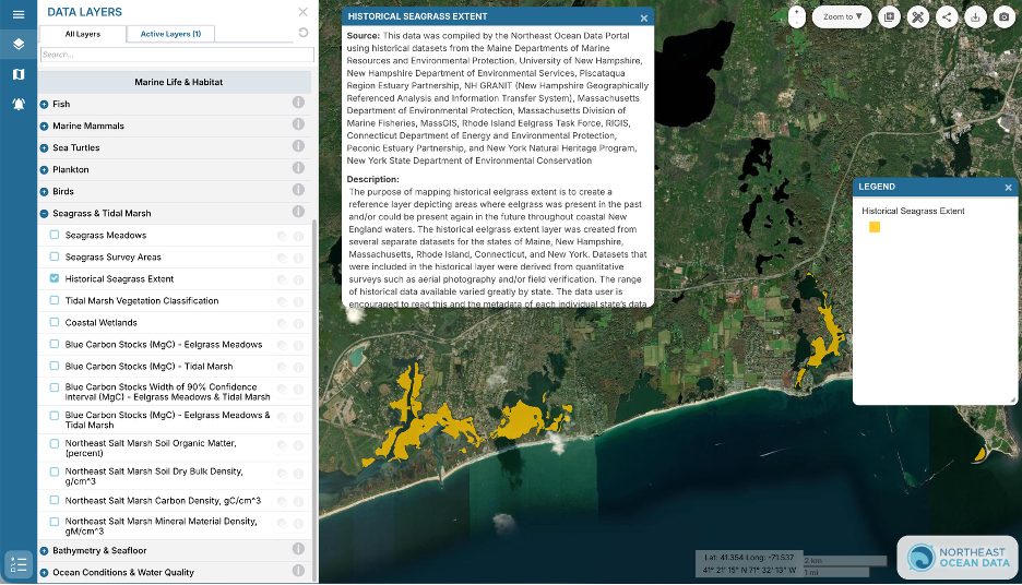 Historical Seagrass Extent layer