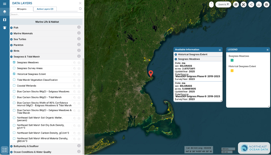 Screenshot of the Seagrass Meadows layer on the Data Explorer interactive map