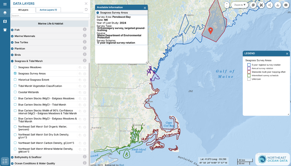Seagrass Survey Areas layer